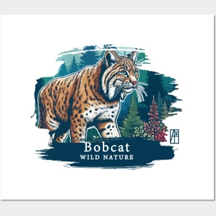 Bobcat - WILD NATURE - BOBCAT -4 Posters and Art